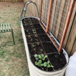 Best Soil for Elevated Beds